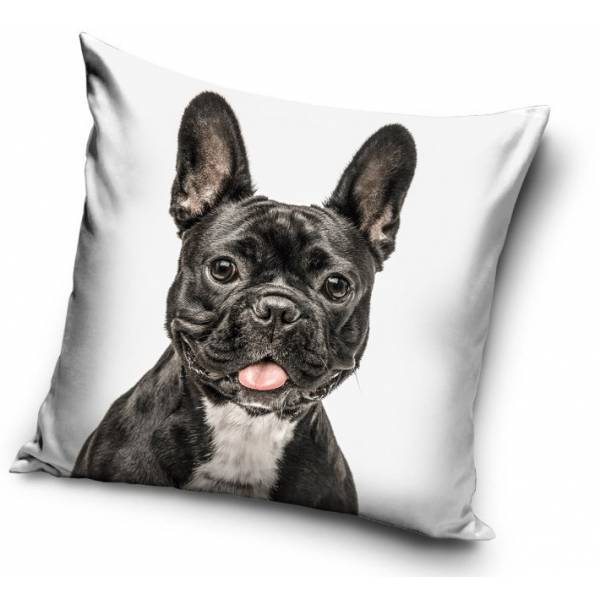 Francia Bulldog Párnahuzat