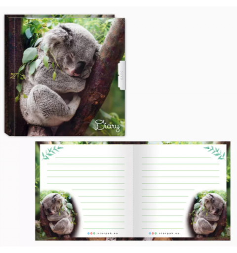 Koala Lakatos Napló, Titkos...