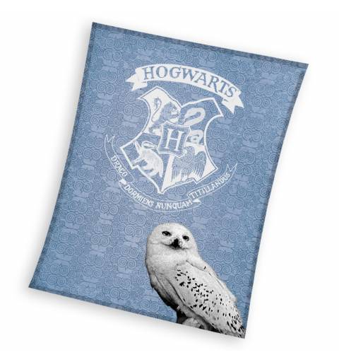 copy of Harry Potter Crest...