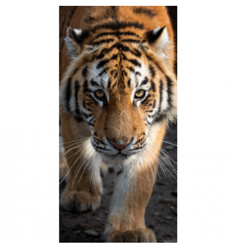 Tigris Pamut Törölköző