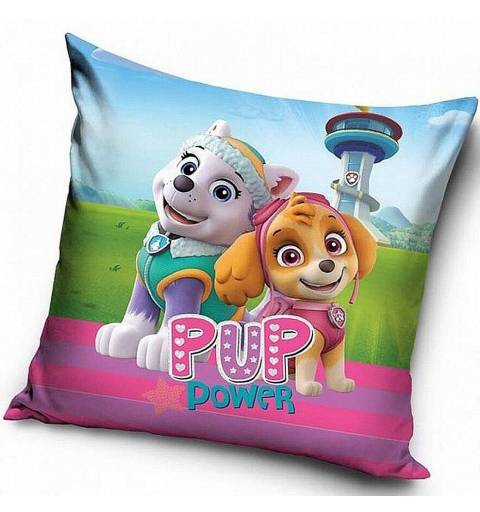 copy of Paw Patrol Cushion