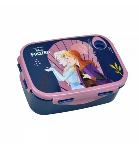 copy of Disney Frozen 2...