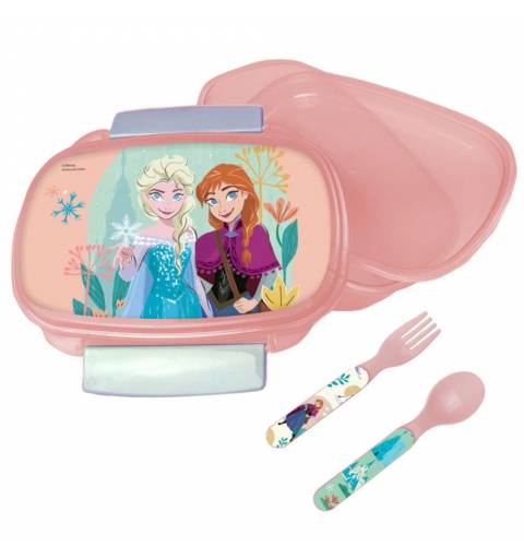copy of Disney Frozen 2...