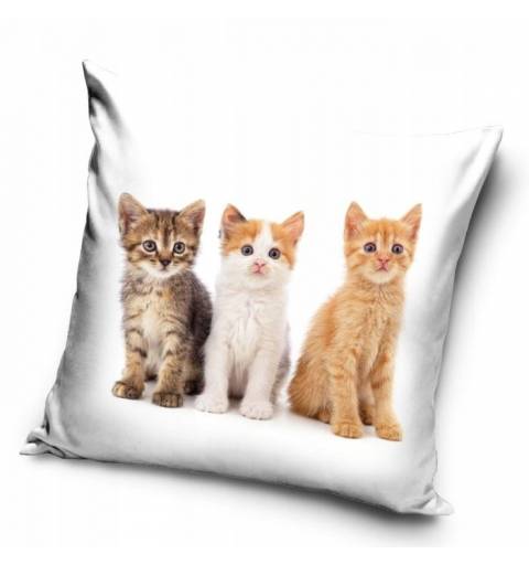 copy of Cat pillow